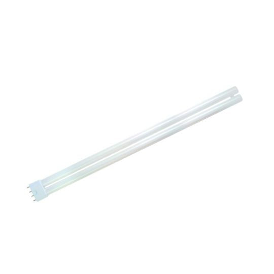 BELL Warm White 240V 4 Pin Lamp