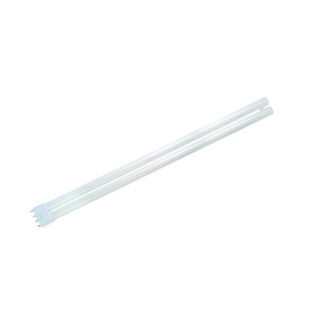 BELL Warm White 240V 4 Pin Lamp